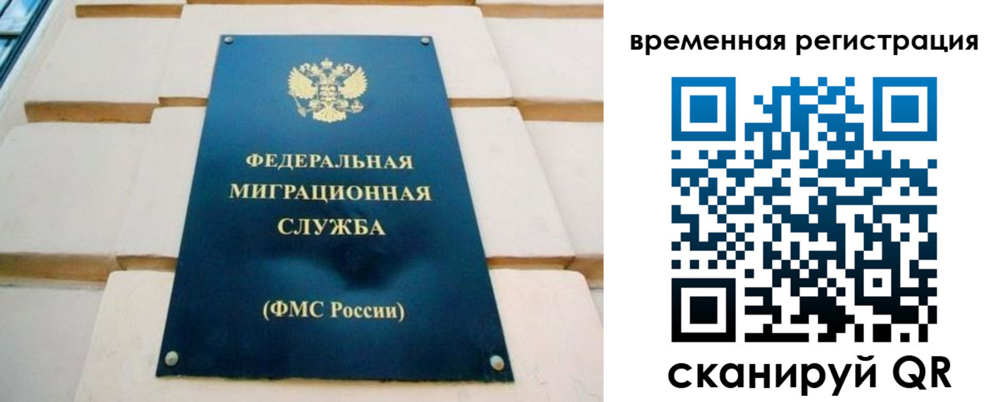 прописка гарантия в Алейске
